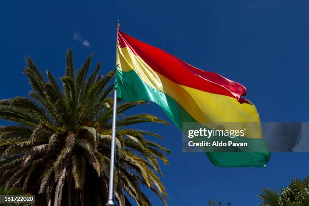 bolivia, sucre, bolivian flaf - bolivia stock pictures, royalty-free photos & images
