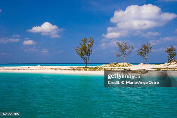 bimini atoll (island and beach), bahamas - bimini stock pictures, royalty-free photos & images