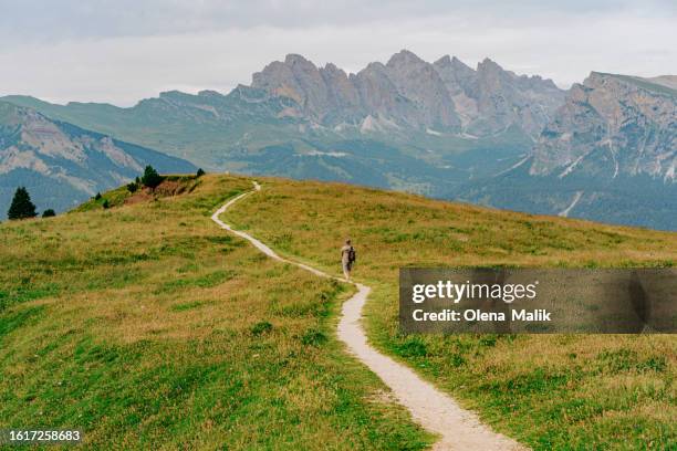man walking in seiser alm, dolomite alps, south tyrol, italy - canazei stock-fotos und bilder