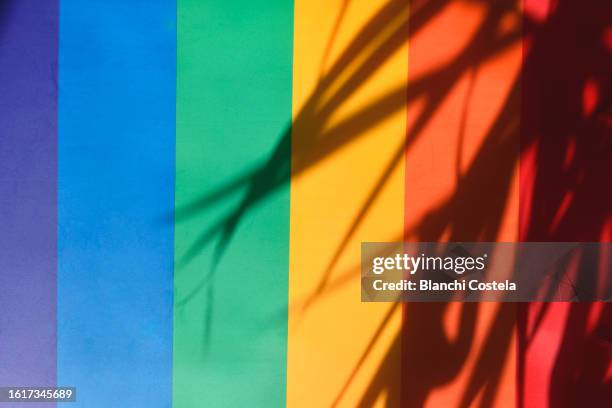 rainbow flag - drapeau arc en ciel photos et images de collection