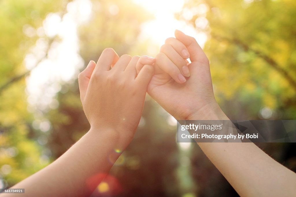 Hand in hand make a Promise