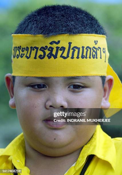 Young supporter of Thai King Bhumibol Adulyadej wears a headband reading "under his presence" soldier as he poses with a soldier at a roadblock...