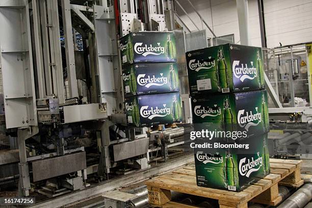 Machine automatically loads boxes of Carlsberg beer onto wooden pallets for individual customer orders at the Carlsberg A/S East Terminal...