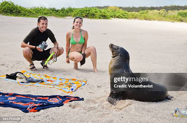 young couple on the beach with funny sea lion - san cristobal - fotografias e filmes do acervo