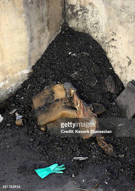 Rubber glove sits inside the burned out cabin where the remains of multiple murder suspect and former Los Angeles Police Department officer...