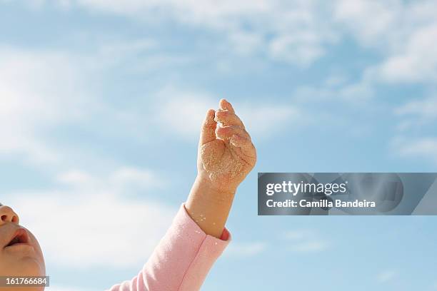 alcançando o céu / reaching for the sky - alcançando 個照片及圖片檔