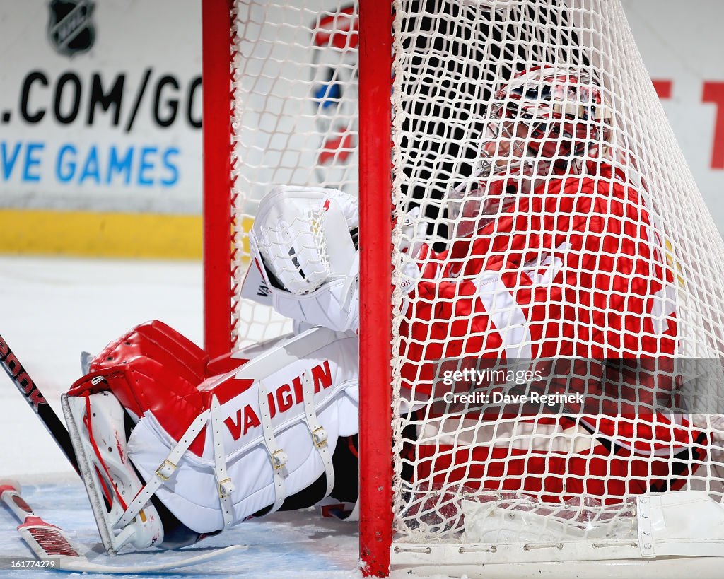 Anaheim Ducks v Detroit Red Wings