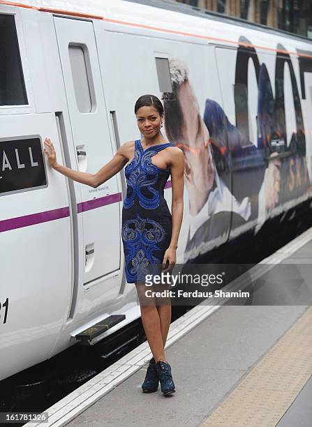 Naomie Harris attends a photocall to unveil the new Skyfall Train at Kings Cross Station on February 16, 2013 in London, England.