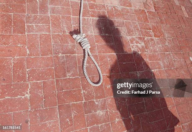 a noose rests on a brick floor by a man's shadow. - noeud coulant photos et images de collection
