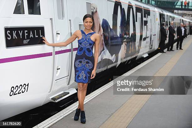 Naomie Harris attends a photocall to unveil the new Skyfall Train at Kings Cross Station on February 16, 2013 in London, England.