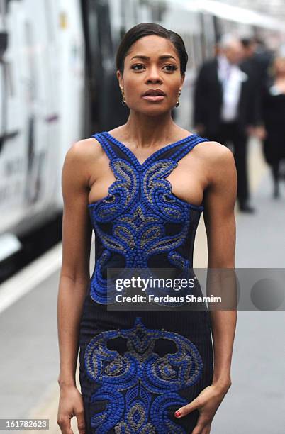 Naomie Harris attends a photocall to unveil the new Skyfall Train at Kings Cross Station on February 16, 2013 in London, England.