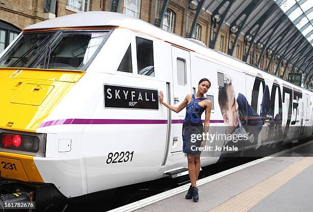 Naomie Harris attends a photocall to unveil the new Skyfall Train at Kings Cross Station on February 16, 2013 in London, England.