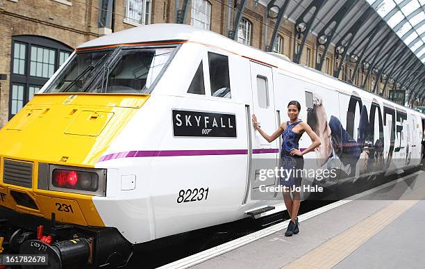 Naomie Harris attends a photocall to unveil the new Skyfall Train at Kings Cross Station on February 16, 2013 in London, England.