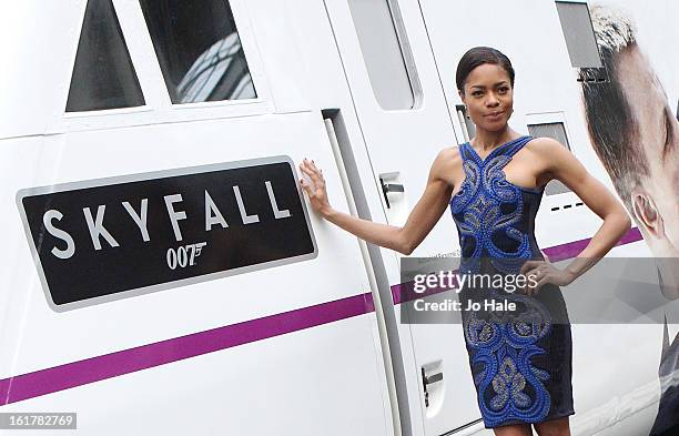 Naomie Harris attends a photocall to unveil the new Skyfall Train at Kings Cross Station on February 16, 2013 in London, England.