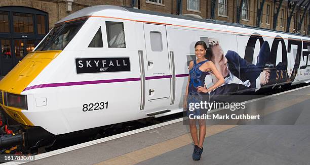 Naomie Harris attends a photocall to unveil the new Skyfall Train on platform 007 at Kings Cross Station on February 16, 2013 in London, England.