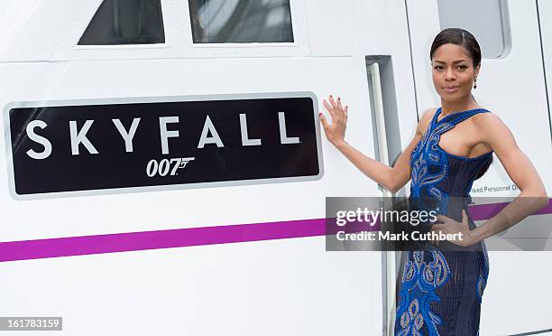 Naomie Harris attends a photocall to unveil the new Skyfall Train on platform 007 at Kings Cross Station on February 16, 2013 in London, England.