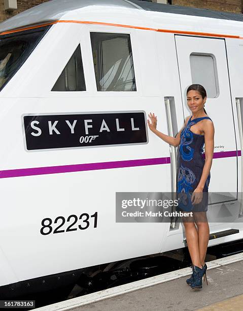 Naomie Harris attends a photocall to unveil the new Skyfall Train on platform 007 at Kings Cross Station on February 16, 2013 in London, England.