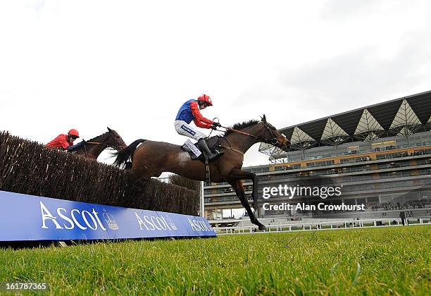 Ruby Walsh riding Rocky Creek clear the last to win The Sodexo Prestige Reynoldstown Novices' Steeple Chase at Ascot racecourse on February 16, 2013...