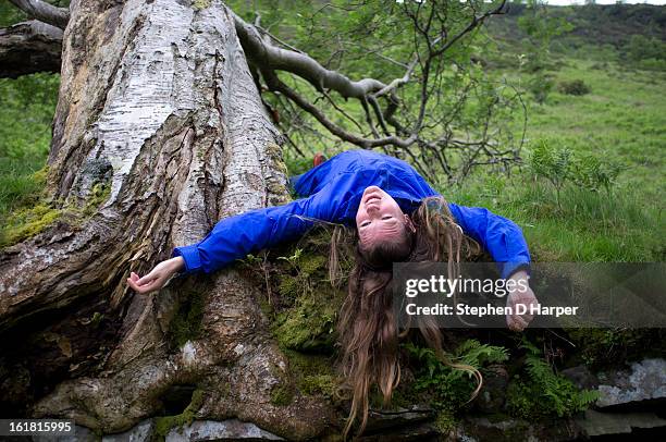 long hair and tree roots - lake vyrnwy 個照片及圖片檔