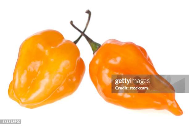 habanero chilli peppers on white - habanero stock pictures, royalty-free photos & images