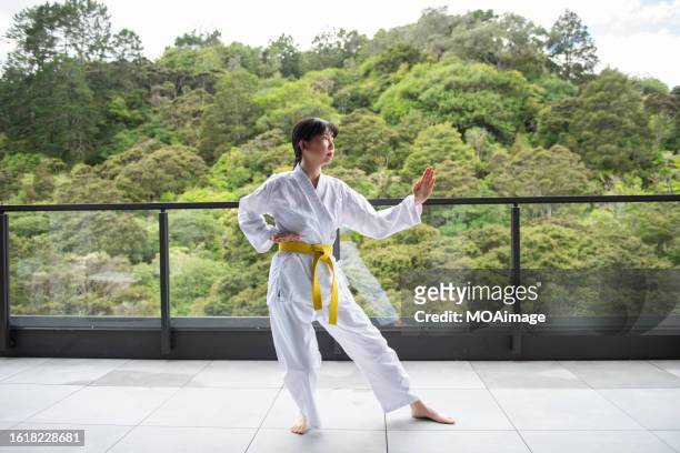 young asian girls play karate - female martial arts stock pictures, royalty-free photos & images