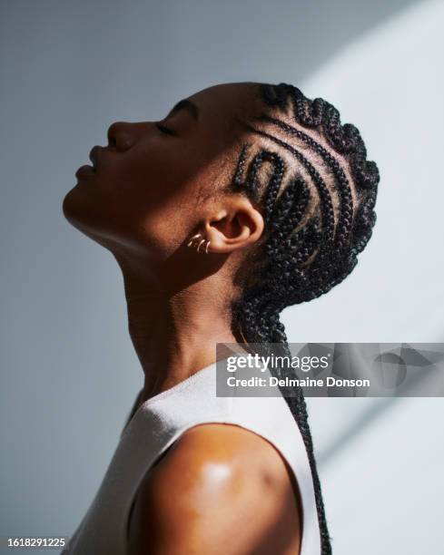 belleza sin aliento, foto de archivo - cabello negro fotografías e imágenes de stock