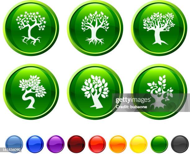trees royalty free vector icon set - small tree isolated stock illustrations