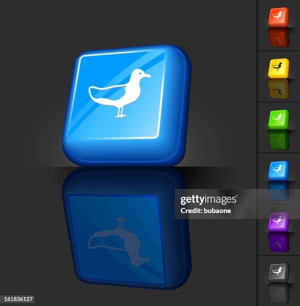 seagull 3d button design - bare legs stock illustrations