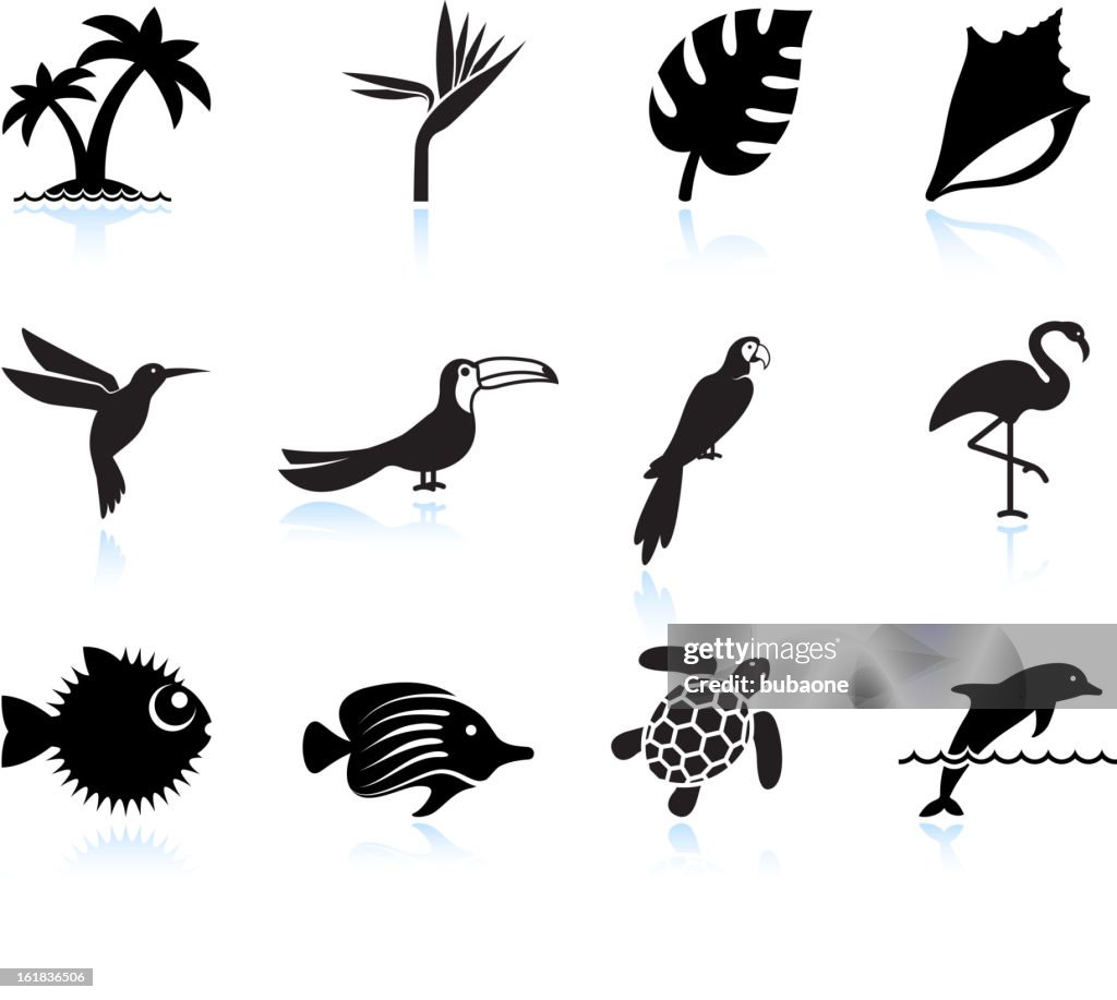 Tropical plants fish and birds black & white icon set