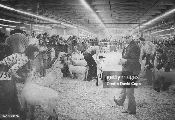 Grand Champion; Judge Jim Davidson points, above, to the choice as grand champion wether in the Junior Show of the National Western Stock Show...