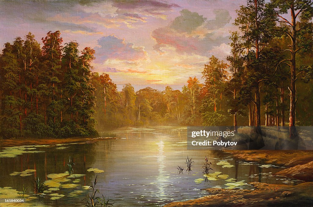 Coniferous forest