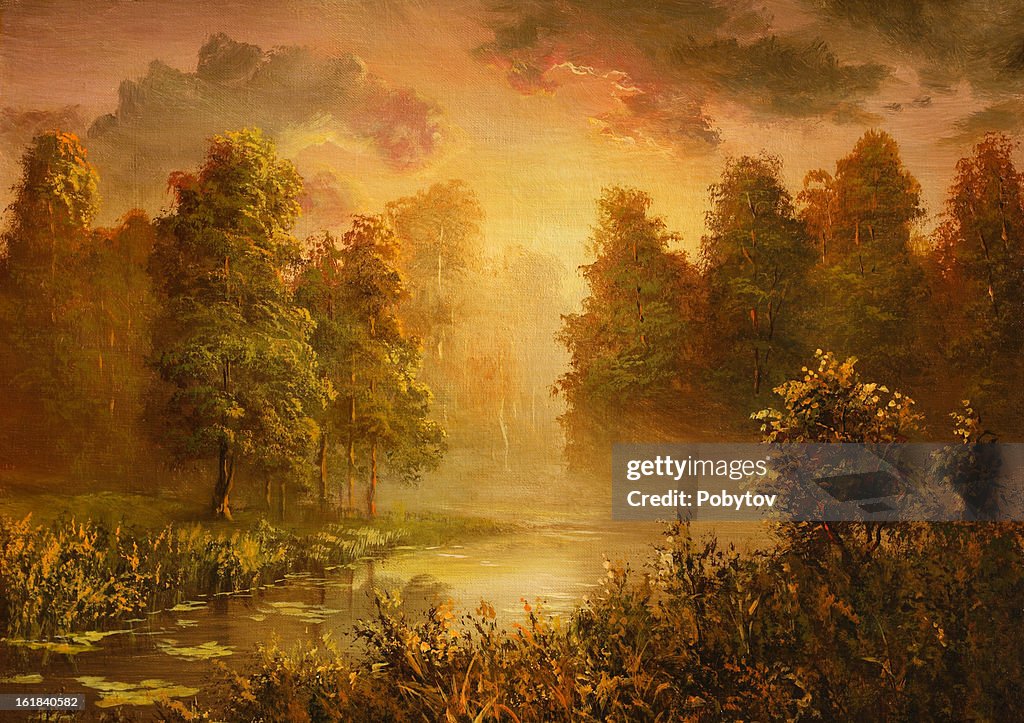 The evening sun