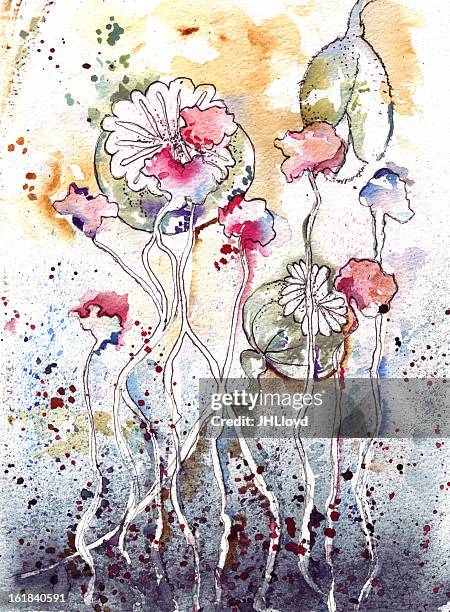 Poppy Life The Life Of A Poppy High-Res Vector Graphic - Getty Images