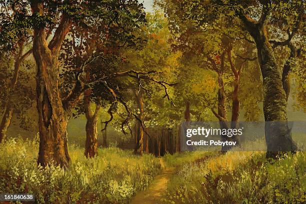 path in deep wood - oak woodland stock illustrations