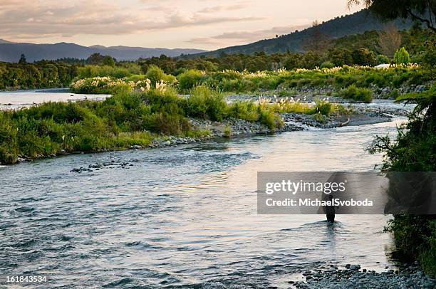 fly fishing - casting stock pictures, royalty-free photos & images