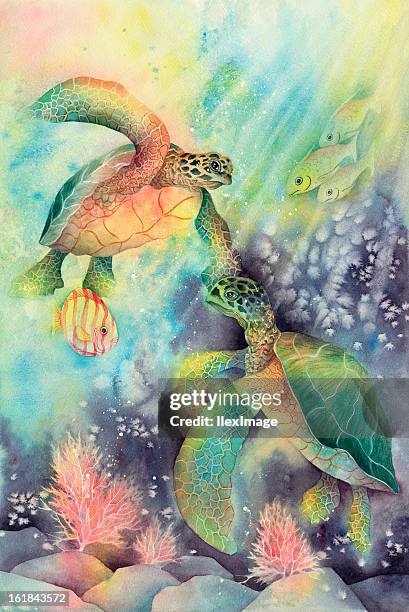 meeresschildkröten - fish painting stock-grafiken, -clipart, -cartoons und -symbole