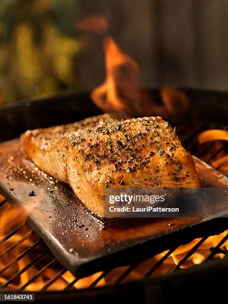 zedernholz lachsfilet auf ein barbecue im freien - gegrillter lachs stock-fotos und bilder