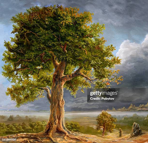 fairy valley - oak tree stock illustrations