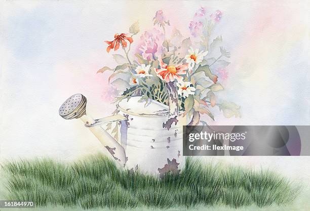 ilustrações de stock, clip art, desenhos animados e ícones de regador de flores - regador