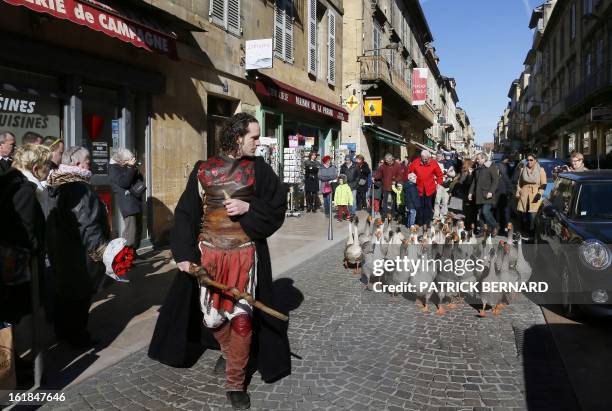 Farmers walk with geese in the streets of the city of Sarlat-la-Caneda on February 17, 2013 during the Fest'Oie festival. AFP PHOTO/PATRICK BERNARD