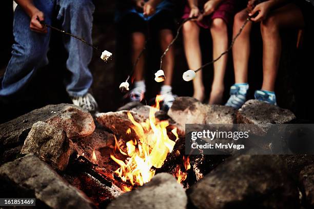 around the campfire - summer camp night stock pictures, royalty-free photos & images