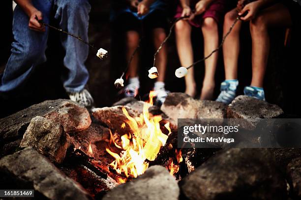 around the campfire - roasted stock pictures, royalty-free photos & images