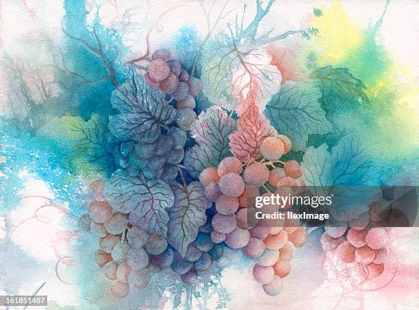 summer grapes - vineyard painting stock illustrations