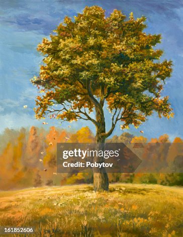 Autumn tree Autumn tree