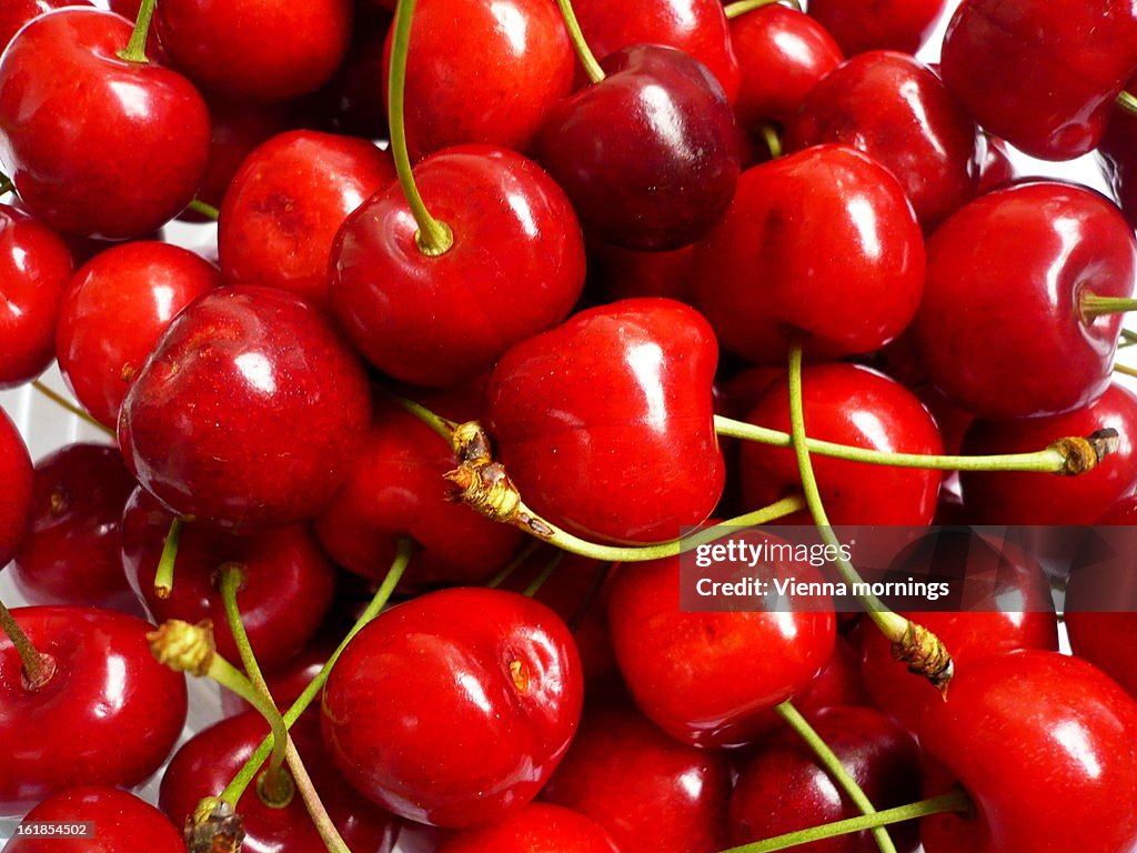 Fresh Red Cherries