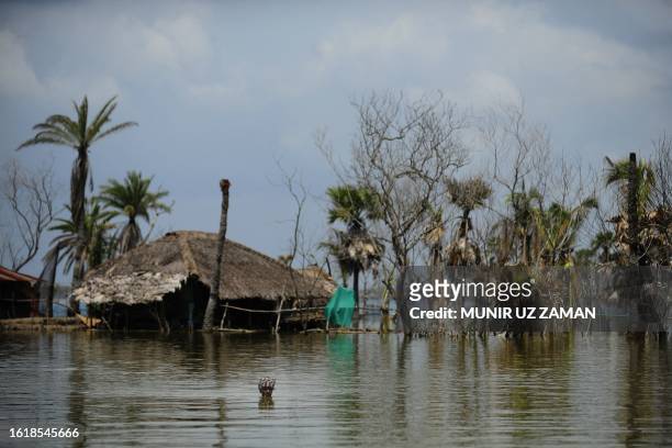 Bangladeshi resident drifts through waters in Koyra on August 8, 2010. Cyclone Aila slammed into southern Bangladesh on May 26 and while the initial...