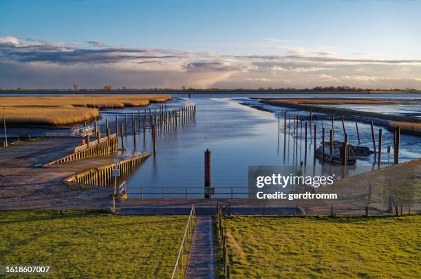 petkum harbour and river ems at low tide in springtime, east frisia, lower saxony, germany - ostfriesland stock-fotos und bilder