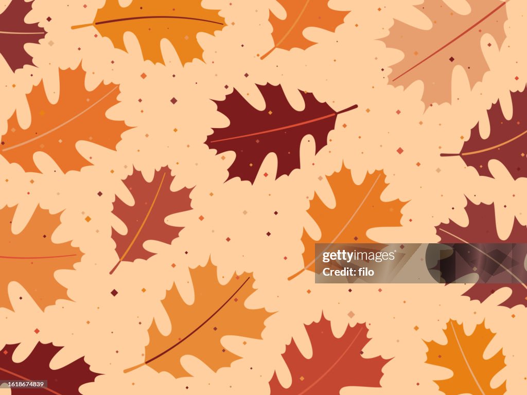 Modern Autumn Fall Oak Leaf Background