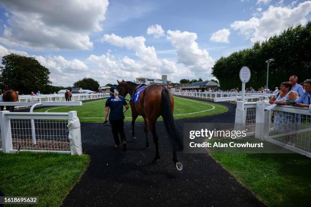 Salisbury Racource 2,284 Salisbury Races Stock Photos, High-Res Pictures, and Images ...