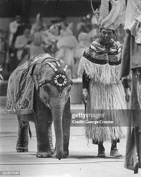 Patsy Circus Great Circus Parade Photos and Premium High Res Pictures - Getty Images